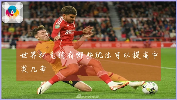 世界杯竞猜有哪些玩法可以提高中奖几率
