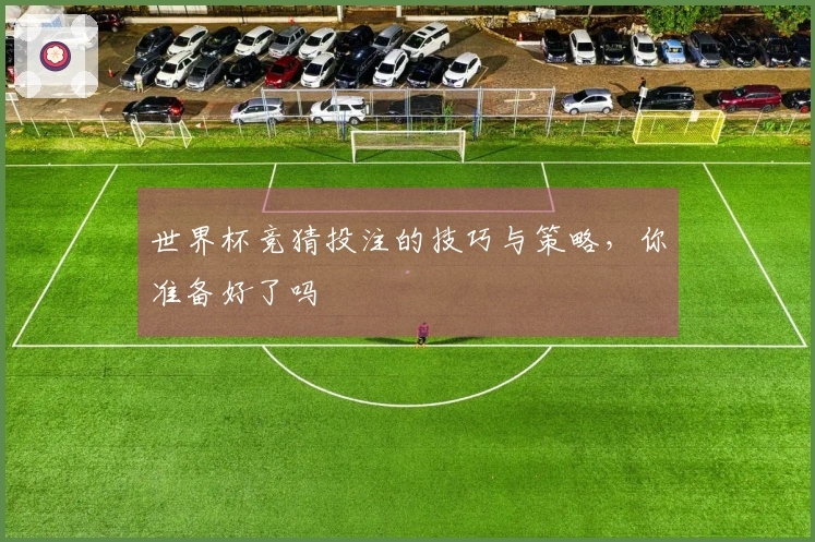 世界杯竞猜投注的技巧与策略，你准备好了吗