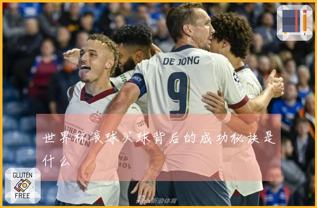 世界杯滚球买球背后的成功秘诀是什么