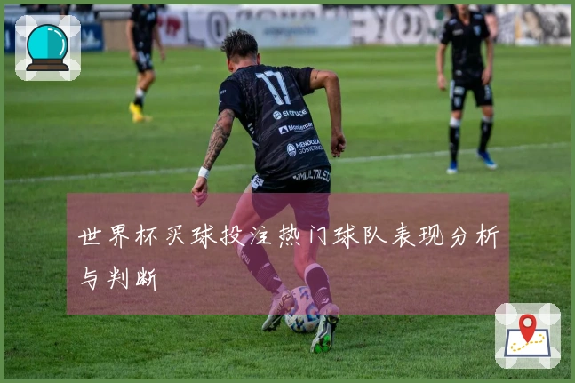 世界杯买球投注热门球队表现分析与判断