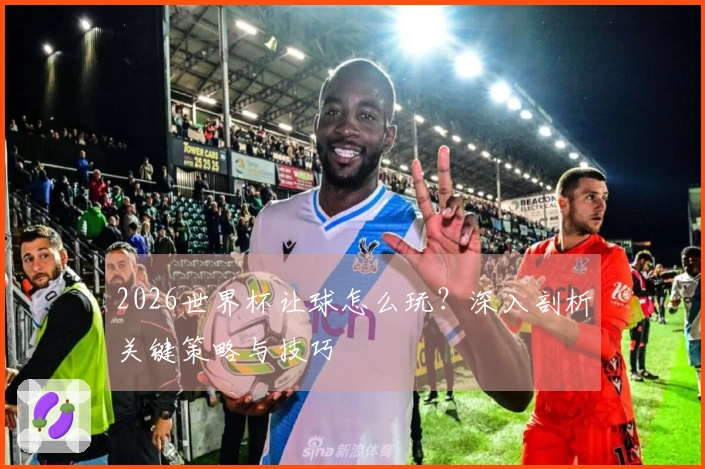 2026世界杯让球怎么玩？深入剖析关键策略与技巧